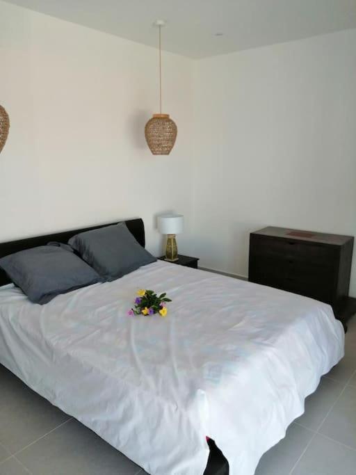Residence Canne Mapou 2 1 Chambre Saint Pierre Exteriör bild
