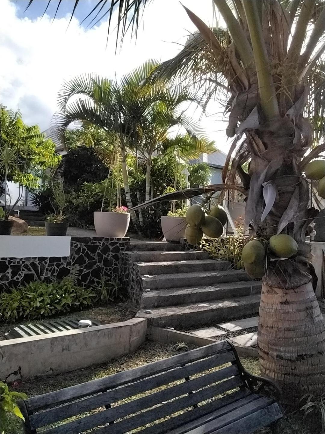 Residence Canne Mapou 2 1 Chambre Saint Pierre Rum bild