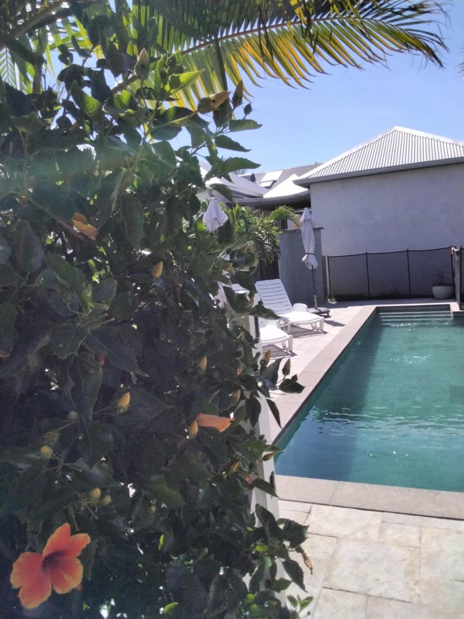 Residence Canne Mapou 2 1 Chambre Saint Pierre Rum bild