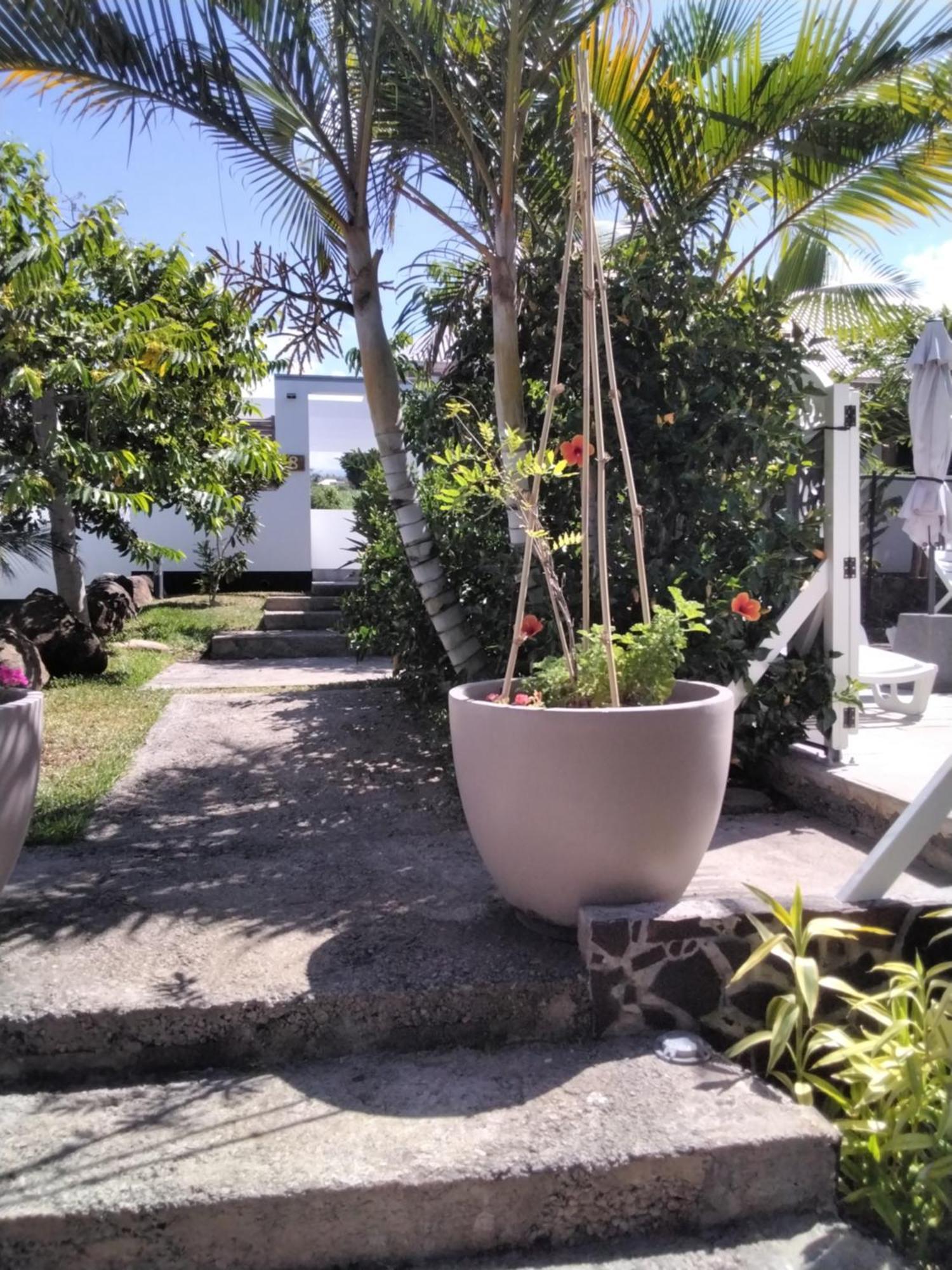 Residence Canne Mapou 2 1 Chambre Saint Pierre Rum bild